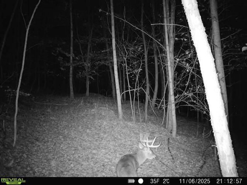 0 Township Road 134 SE, New Straitsville, OH 43766 Photo 19