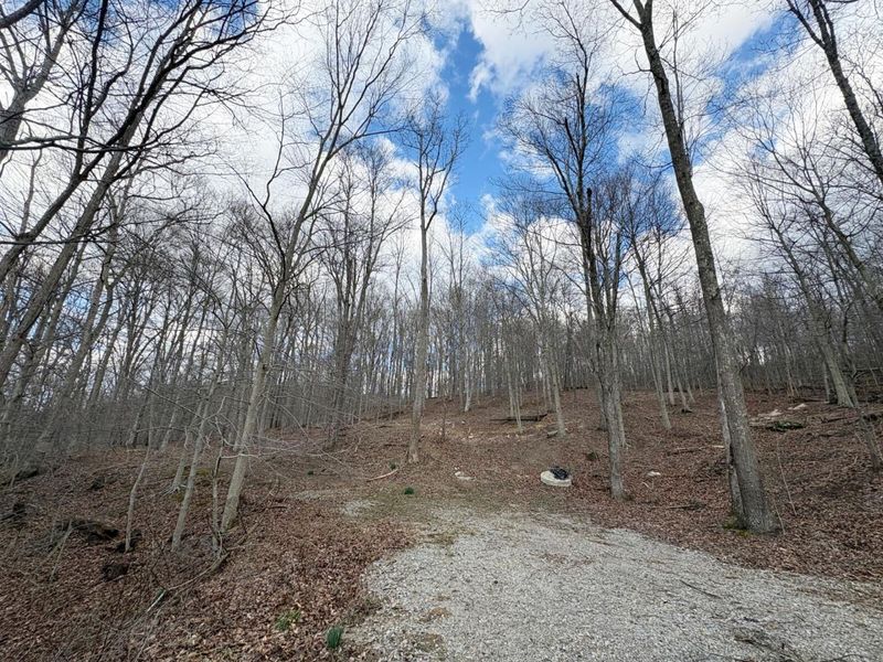 0 Township Road 134 SE, New Straitsville, OH 43766 Photo 2