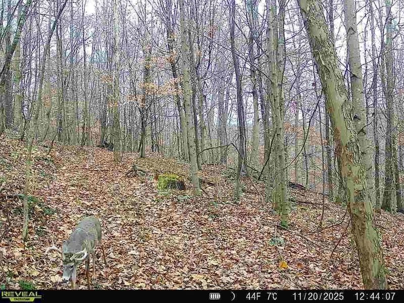 0 Township Road 134 SE, New Straitsville, OH 43766 Photo 20