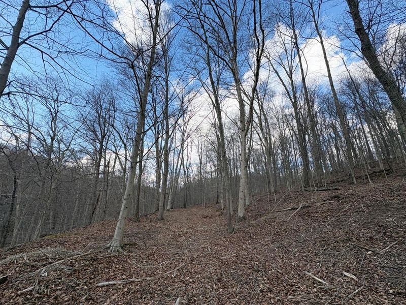 0 Township Road 134 SE, New Straitsville, OH 43766 Photo 3