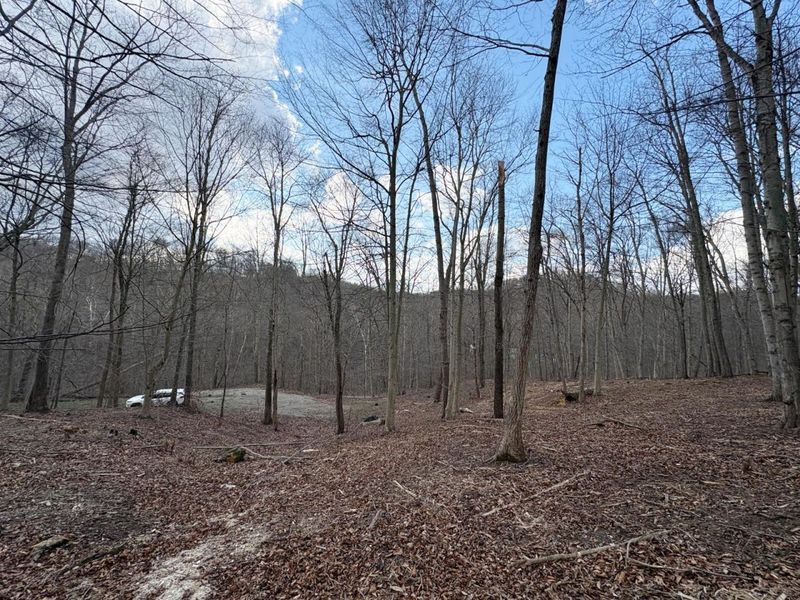 0 Township Road 134 SE, New Straitsville, OH 43766 Photo 4