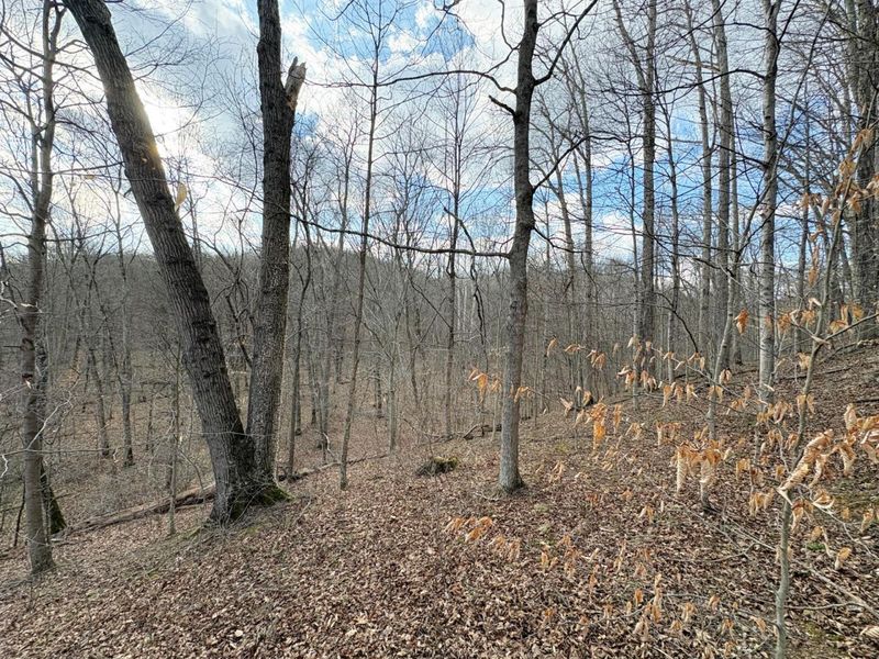 0 Township Road 134 SE, New Straitsville, OH 43766 Photo 6