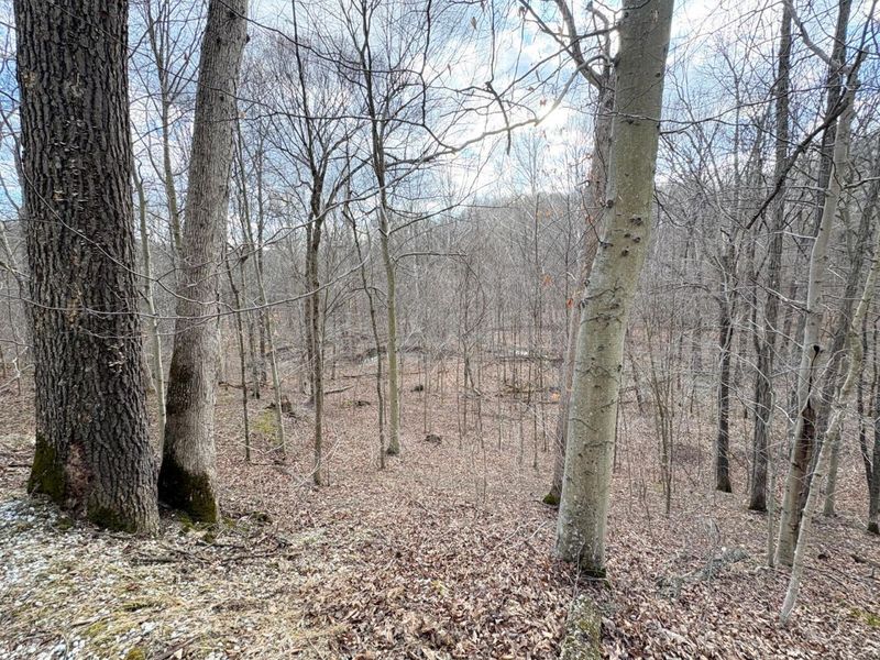 0 Township Road 134 SE, New Straitsville, OH 43766 Photo 7