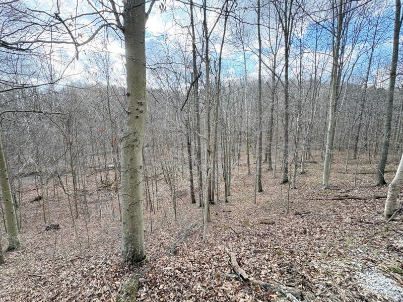 0 Township Road 134 SE, New Straitsville, OH 43766 Photo 8