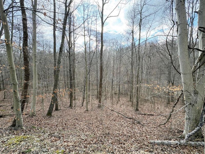 0 Township Road 134 SE, New Straitsville, OH 43766 Photo 9