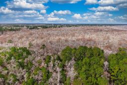 Tbd Mishoe Rd. photo 4