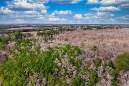 Tbd Mishoe Rd. photo 4