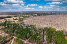 Tbd Mishoe Rd. photo 4