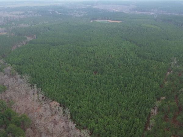 00 NC Highway 73 W, Mount Gilead, NC 27306