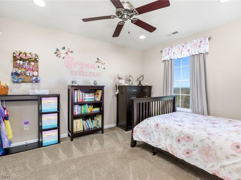 2664 Day Lily Lane, Medina, OH 44256 Photo 15