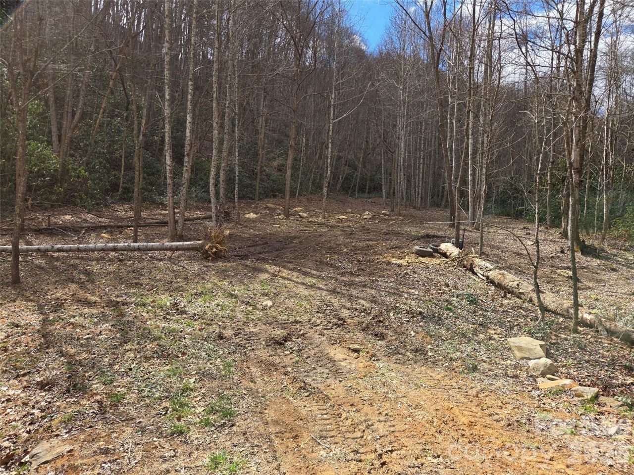 00 Laurel Branch Road, Waynesville, NC 28785 Main Photo