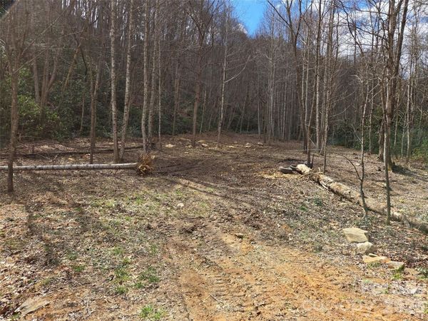 00 Laurel Branch Road, Waynesville, NC 28785