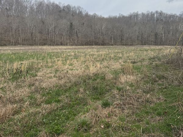 1234 Puncheon Creek Road , Lafayette, TN 37083