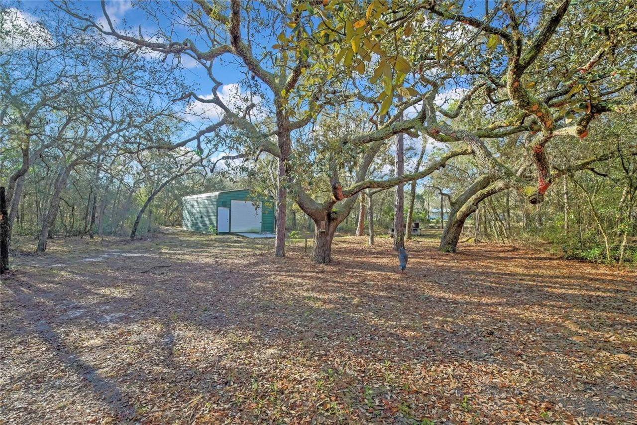 340 E Savoy Street, Lecanto, FL 34461 Photo