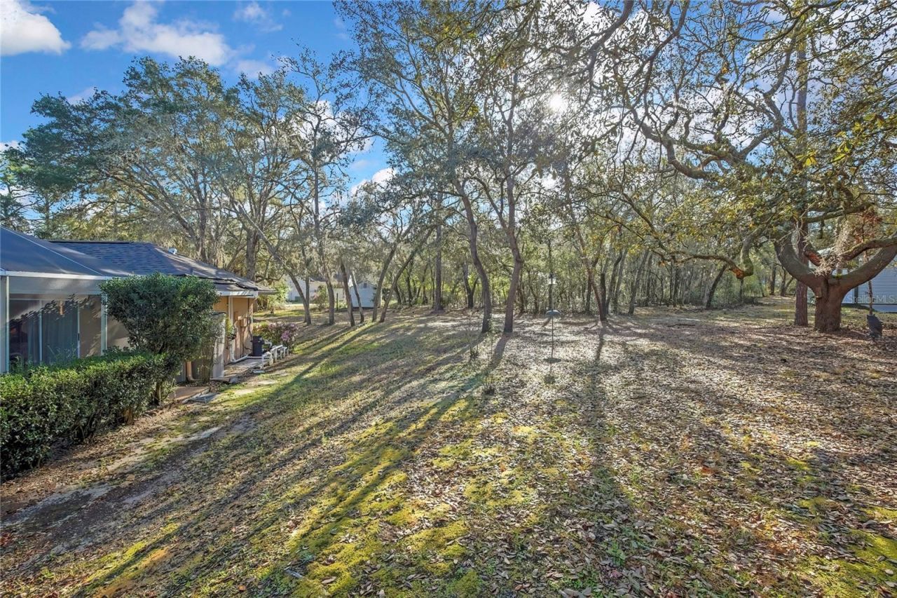 340 E Savoy Street, Lecanto, FL 34461 Photo