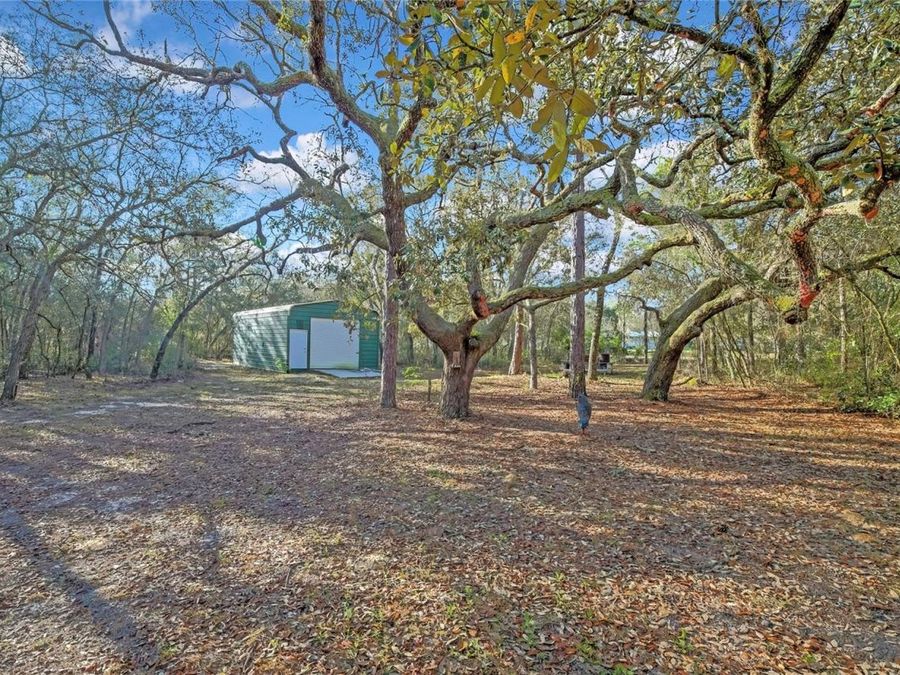 Property Image 58