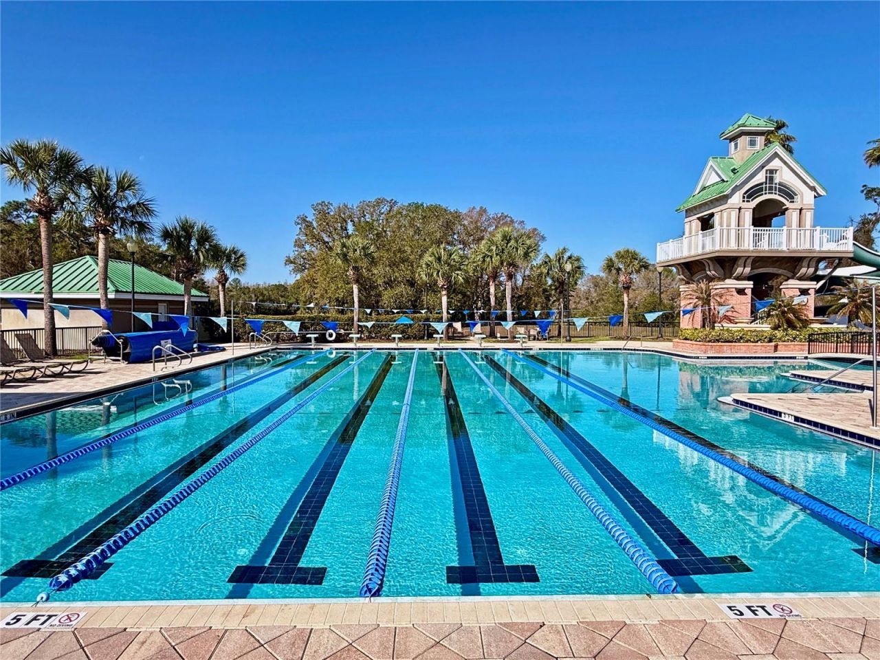 8212 Cypress Breeze Way, Tampa, FL 33647 Photo