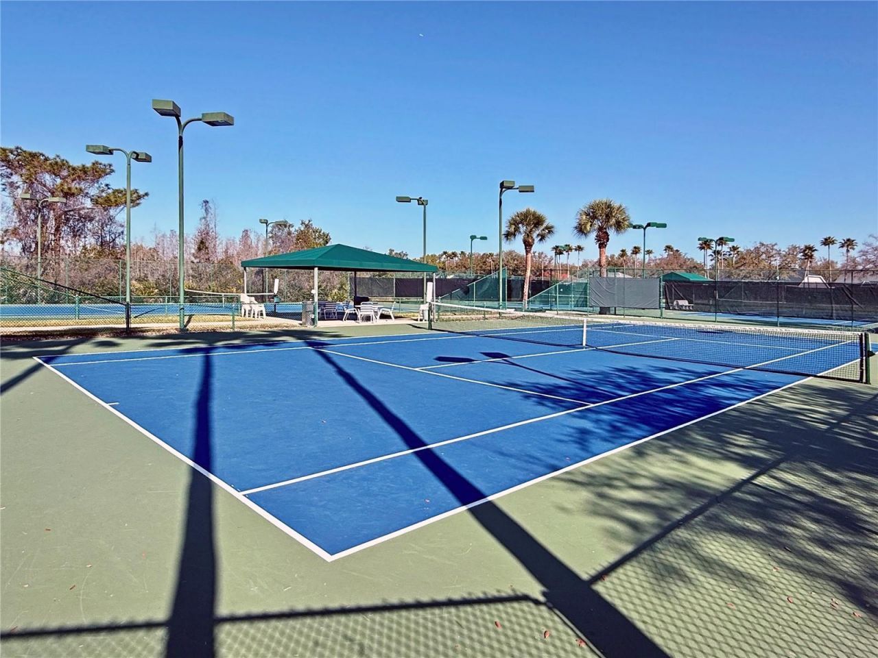 8212 Cypress Breeze Way, Tampa, FL 33647 Photo