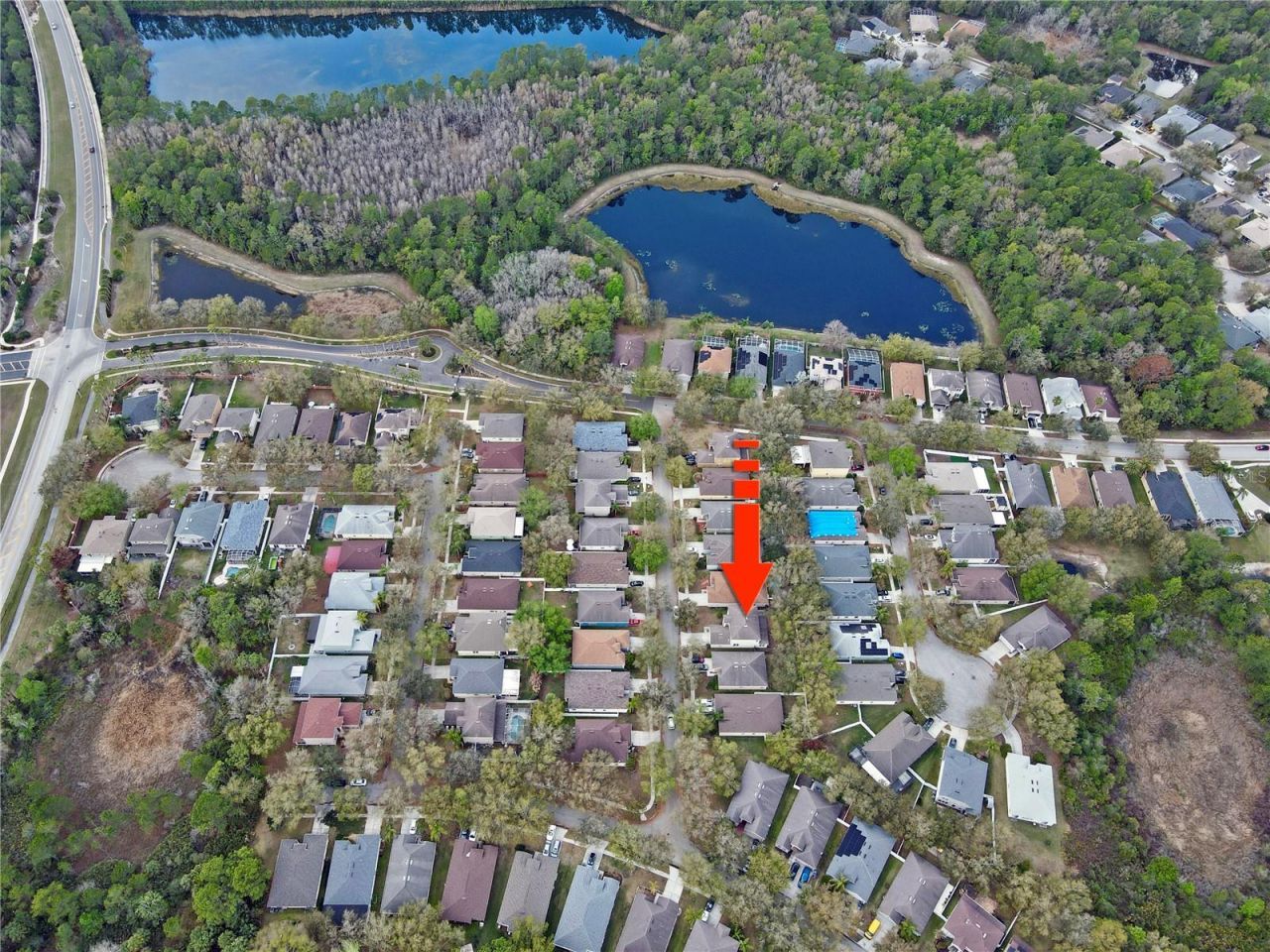 8212 Cypress Breeze Way, Tampa, FL 33647 Photo