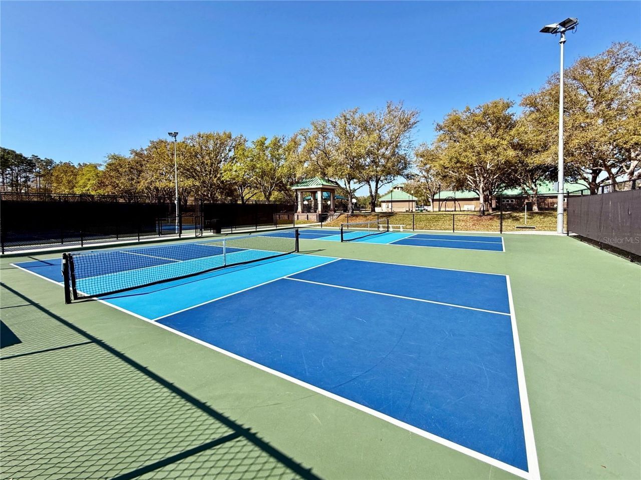 8212 Cypress Breeze Way, Tampa, FL 33647 Photo