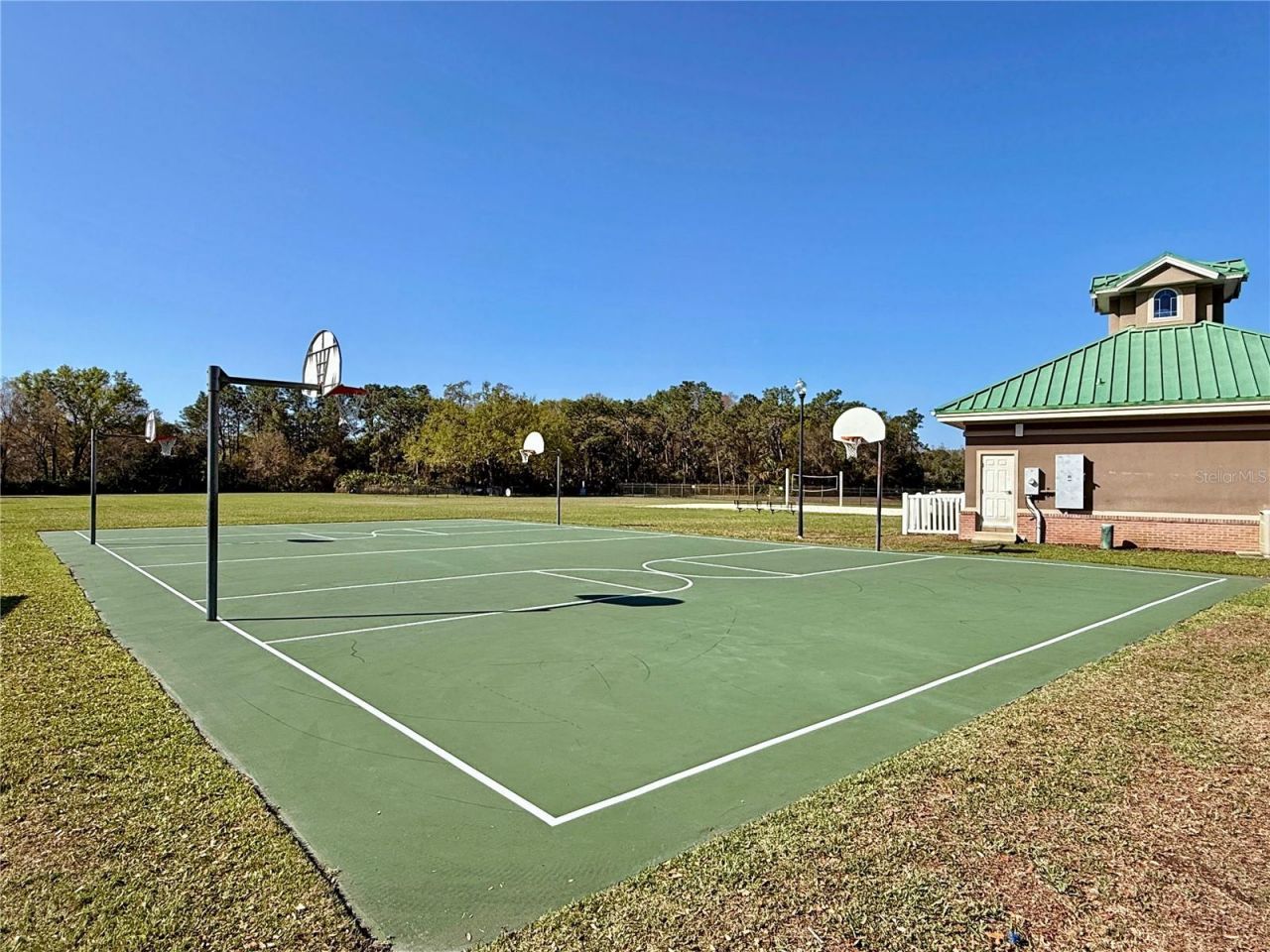 8212 Cypress Breeze Way, Tampa, FL 33647 Photo