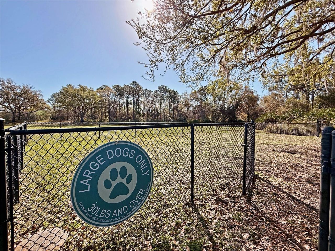 8212 Cypress Breeze Way, Tampa, FL 33647 Photo