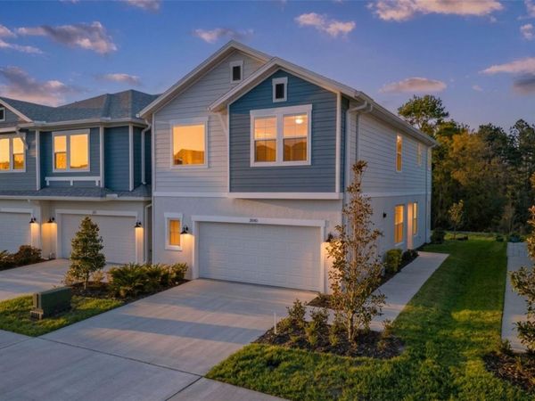 17240 BALANCE COVE , LAND O LAKES, FL 34638