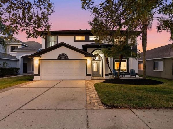 19408 SANDY SPRINGS CIRCLE , LUTZ, FL 33558