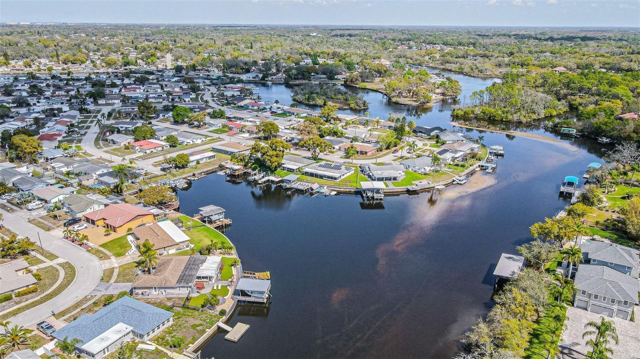 1125 Fernwood Drive, Holiday, FL 34690 Photo