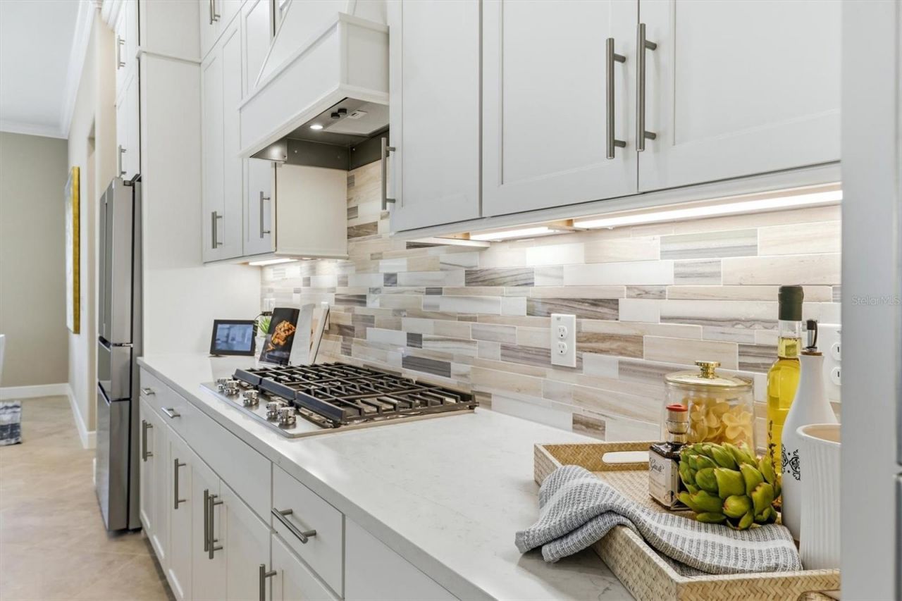 9213 Sand Dune Cove, Parrish, FL 34219 Photo