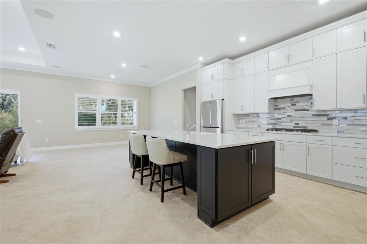 9213 Sand Dune Cove, Parrish, FL 34219 Photo