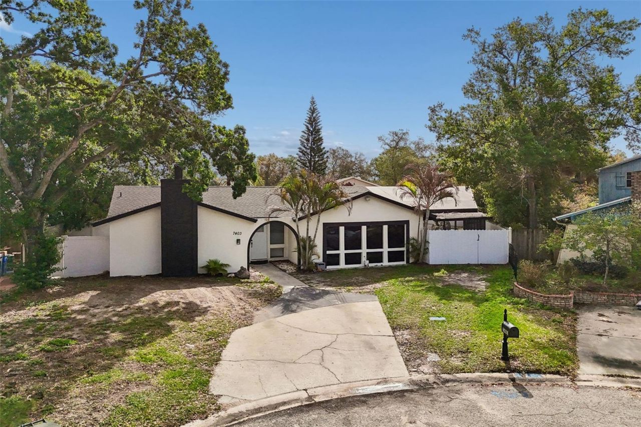 7403 Spring Court, Tampa, FL 33634 Photo