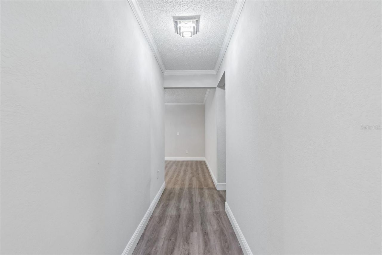 7403 Spring Court, Tampa, FL 33634 Photo