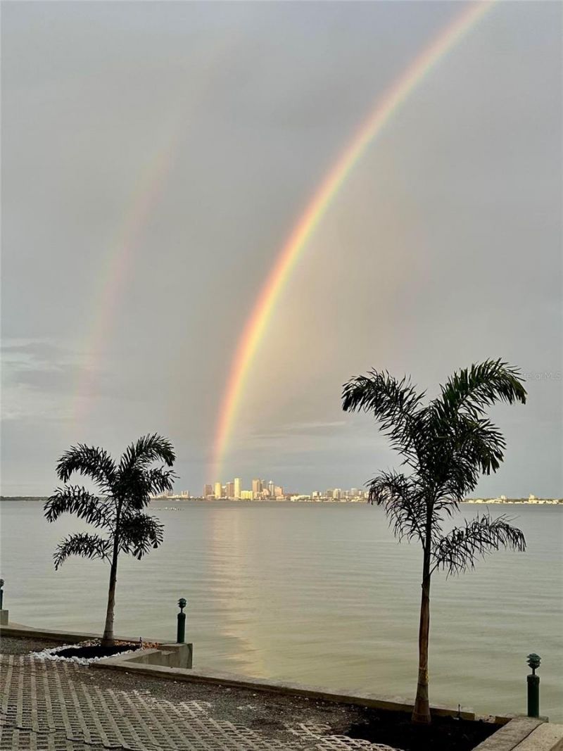 4950 Bayshore Boulevard, Unit 22, Tampa, FL 33611 Photo