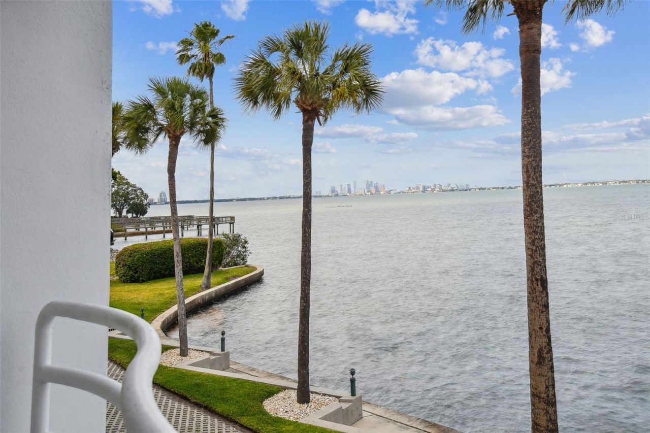 4950 Bayshore Boulevard, Unit 22, Tampa, FL 33611 Photo