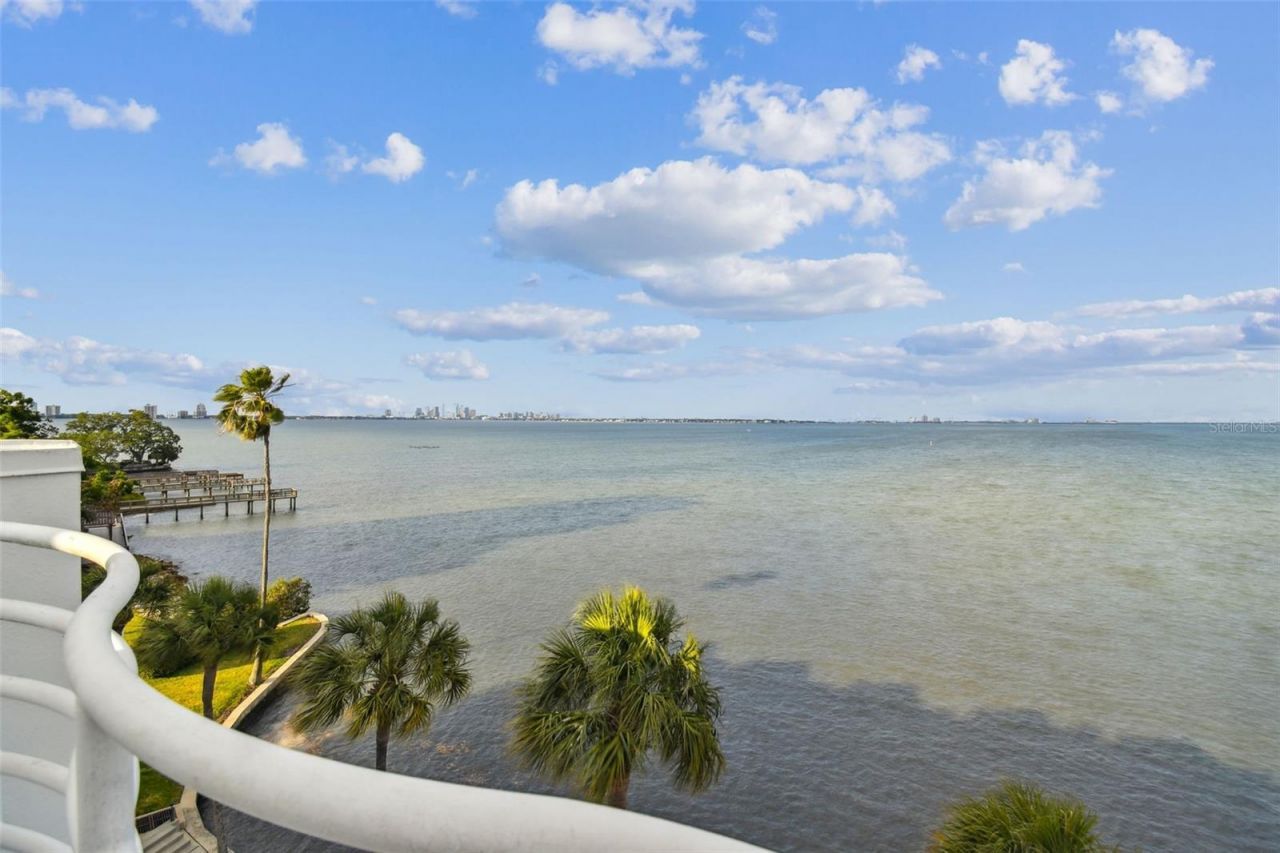 4950 Bayshore Boulevard, Unit 22, Tampa, FL 33611 Photo