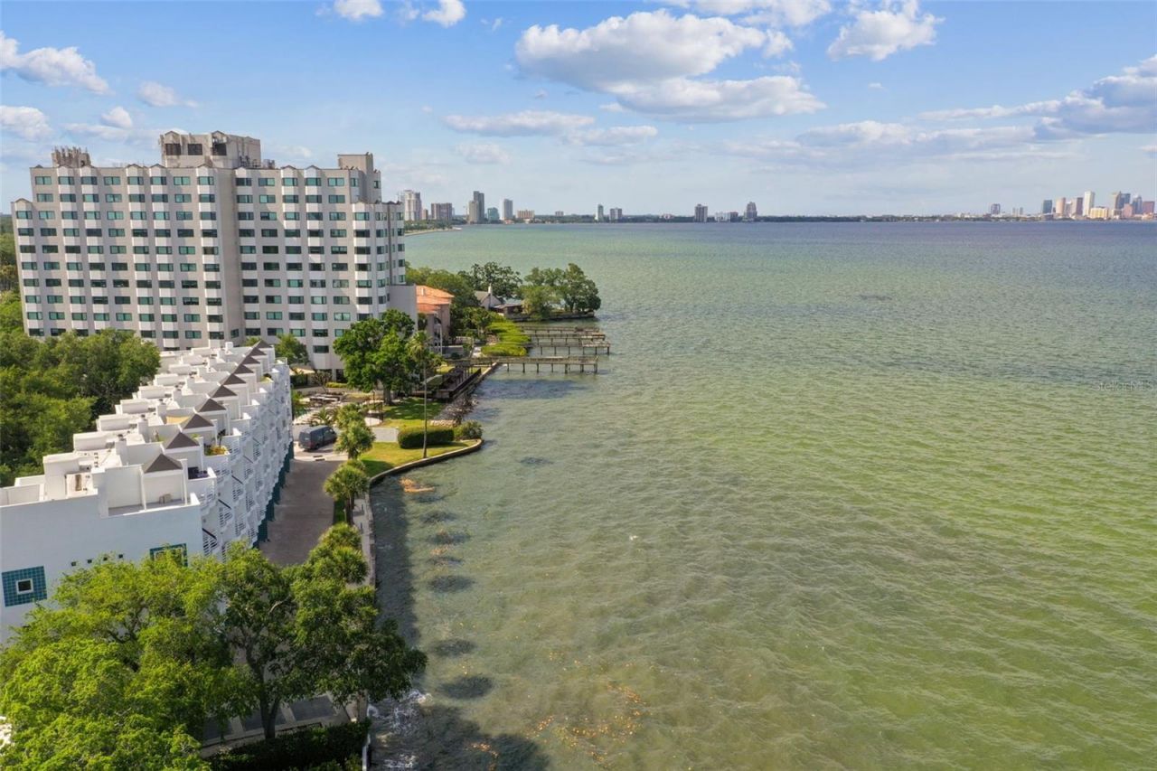 4950 Bayshore Boulevard, Unit 22, Tampa, FL 33611 Photo