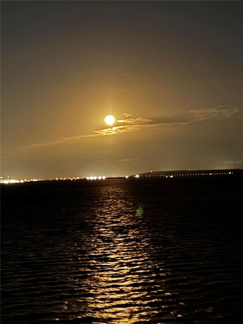 4950 Bayshore Boulevard, Unit 22, Tampa, FL 33611 Photo
