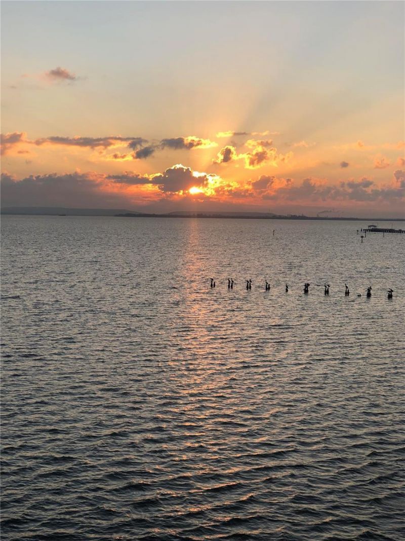 4950 Bayshore Boulevard, Unit 22, Tampa, FL 33611 Photo