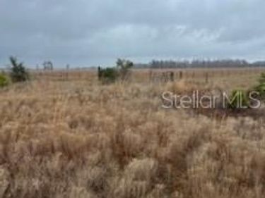 1137 HOPKINS LANE, ZOLFO SPRINGS, FL 33890