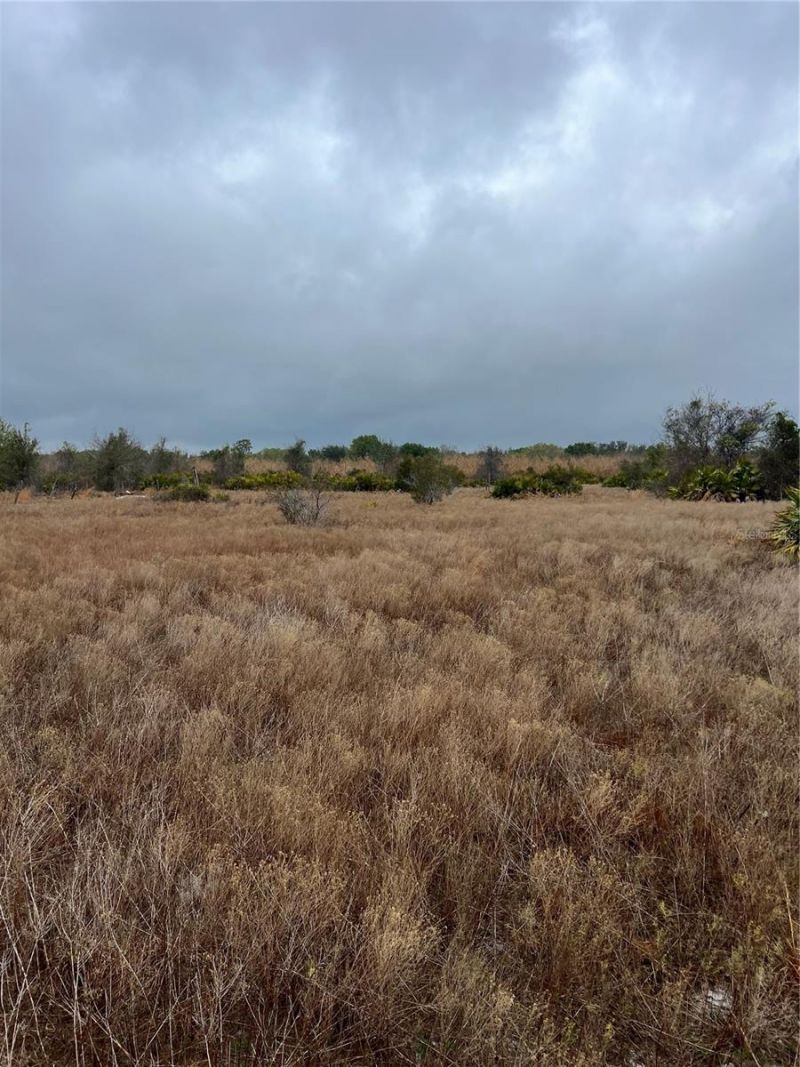 1137 Hopkins Lane, Zolfo Springs, FL 33890 Photo