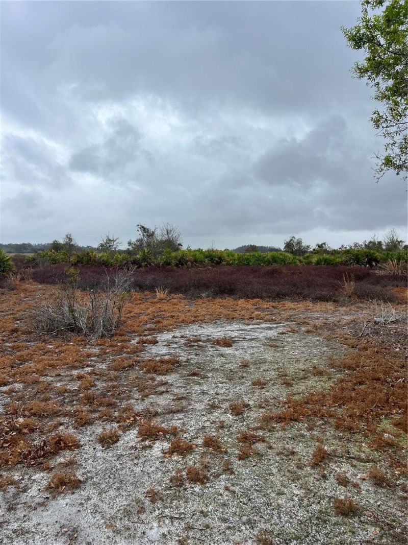 1137 Hopkins Lane, Zolfo Springs, FL 33890 Photo