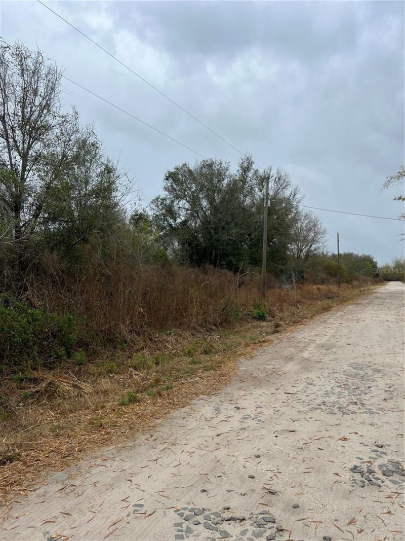 1137 Hopkins Lane, Zolfo Springs, FL 33890 Photo