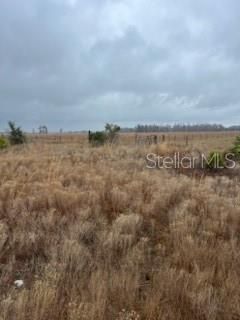 1137 Hopkins Lane, Zolfo Springs, FL 33890 Photo