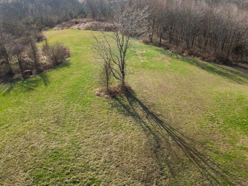 180 Bridle Court, Dry Ridge, KY 41035 Photo 1