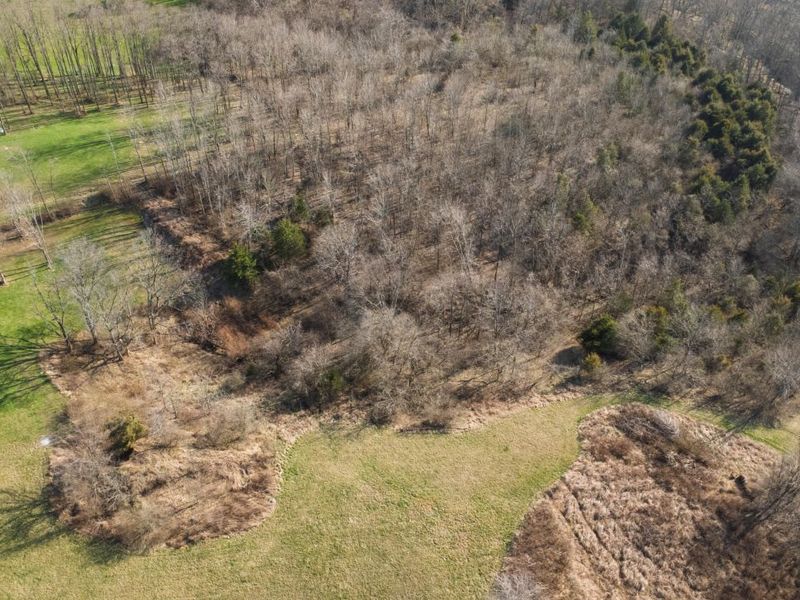 180 Bridle Court, Dry Ridge, KY 41035 Photo 10