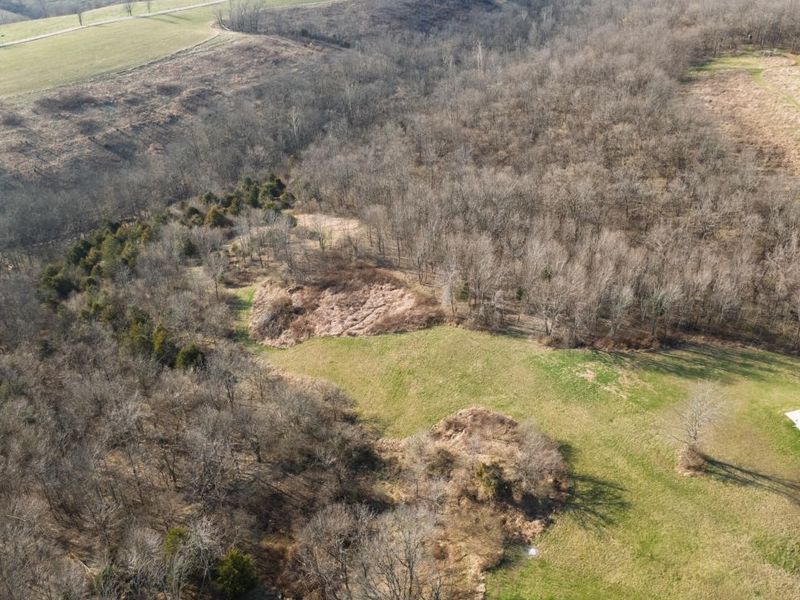 180 Bridle Court, Dry Ridge, KY 41035 Photo 13