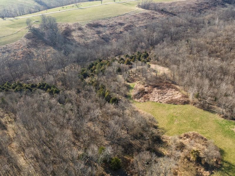 180 Bridle Court, Dry Ridge, KY 41035 Photo 14