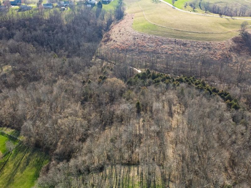 180 Bridle Court, Dry Ridge, KY 41035 Photo 15