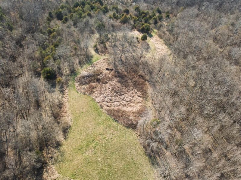 180 Bridle Court, Dry Ridge, KY 41035 Photo 16